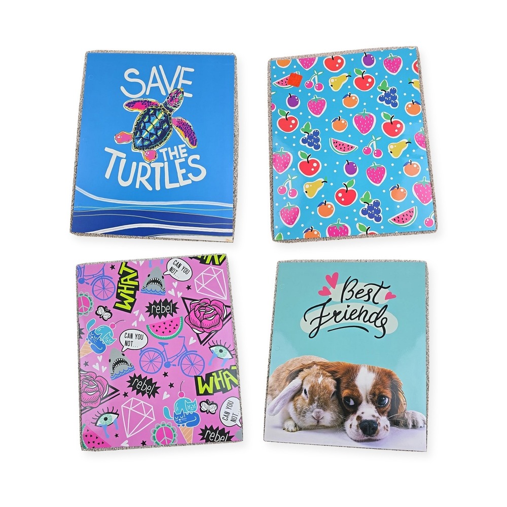 Top Flight Bright Fun Pocket Folders Lot of 4 3 Ring Binder School New